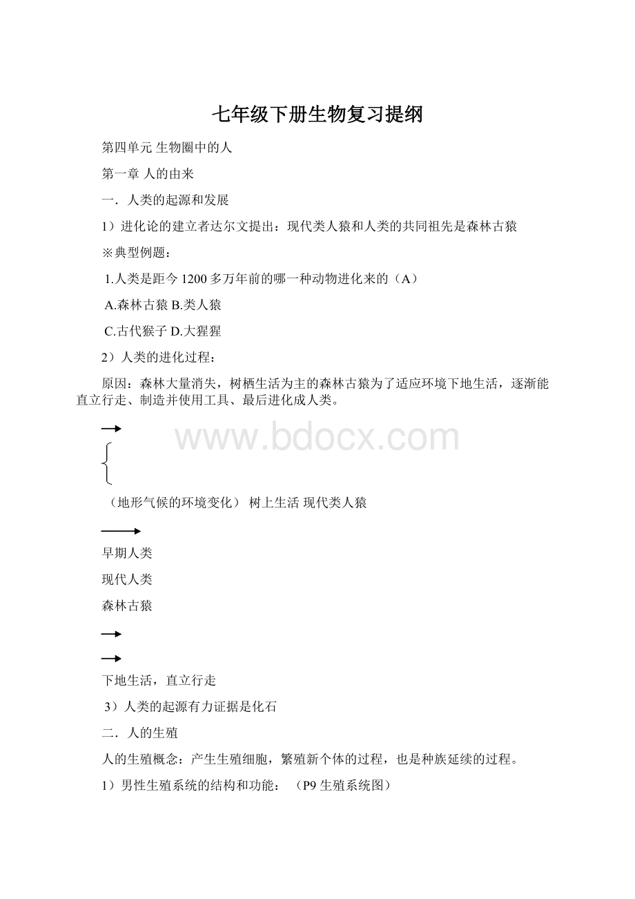 七年级下册生物复习提纲.docx