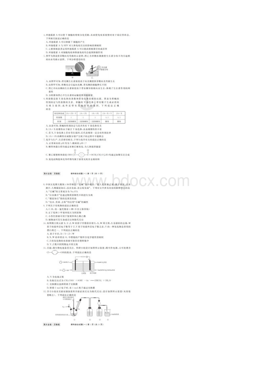 河北衡水中学衡水金卷压轴卷普通高等学校招生全国统一考试模拟试题理科综合能力测试一有答案.docx_第2页