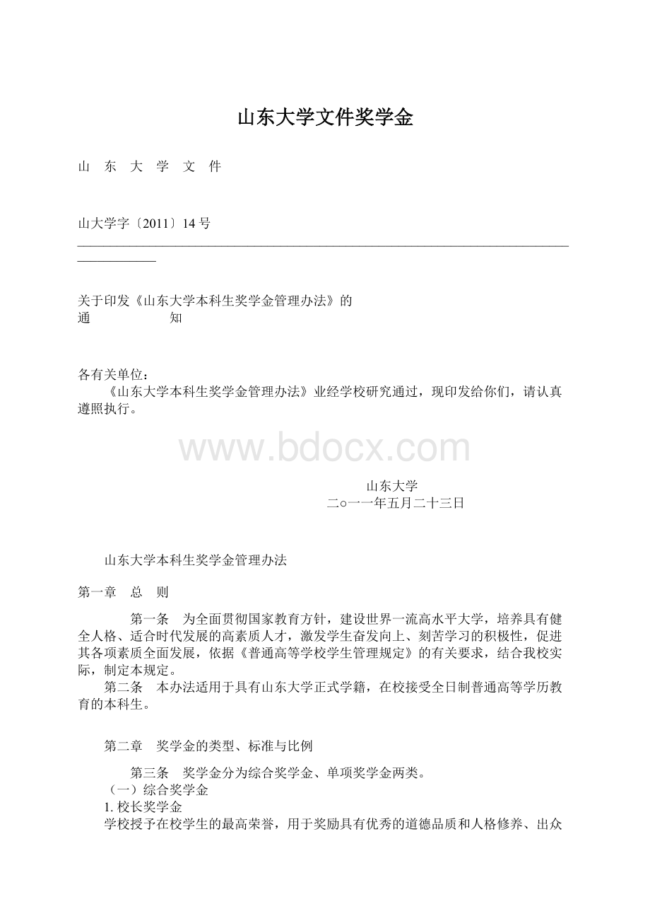 山东大学文件奖学金Word文档下载推荐.docx