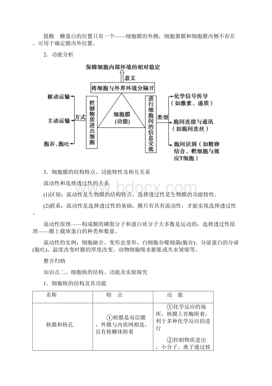 高中生物 第三章细胞的基本结构期末知识梳理 新人教版必修1.docx_第2页