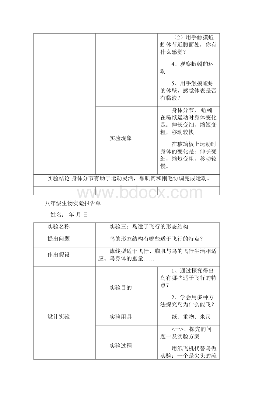 新人教版八年级生物上学期实验报告Word文档格式.docx_第2页