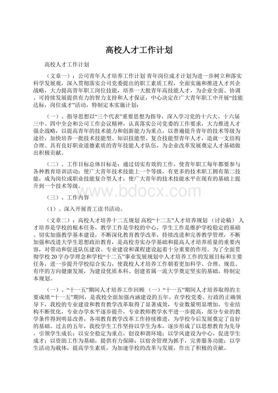 高校人才工作计划文档格式.docx