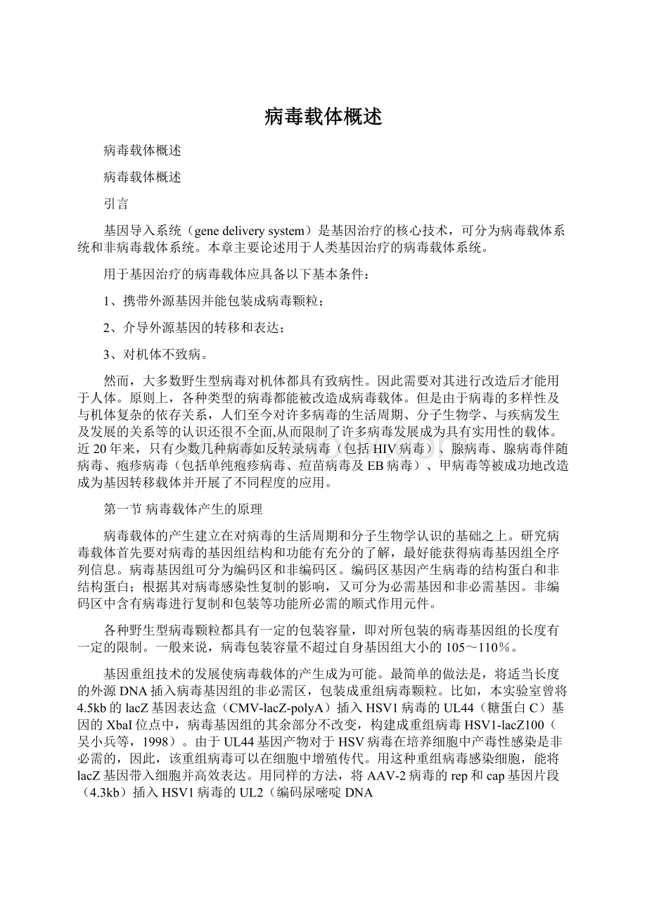 病毒载体概述Word文档格式.docx