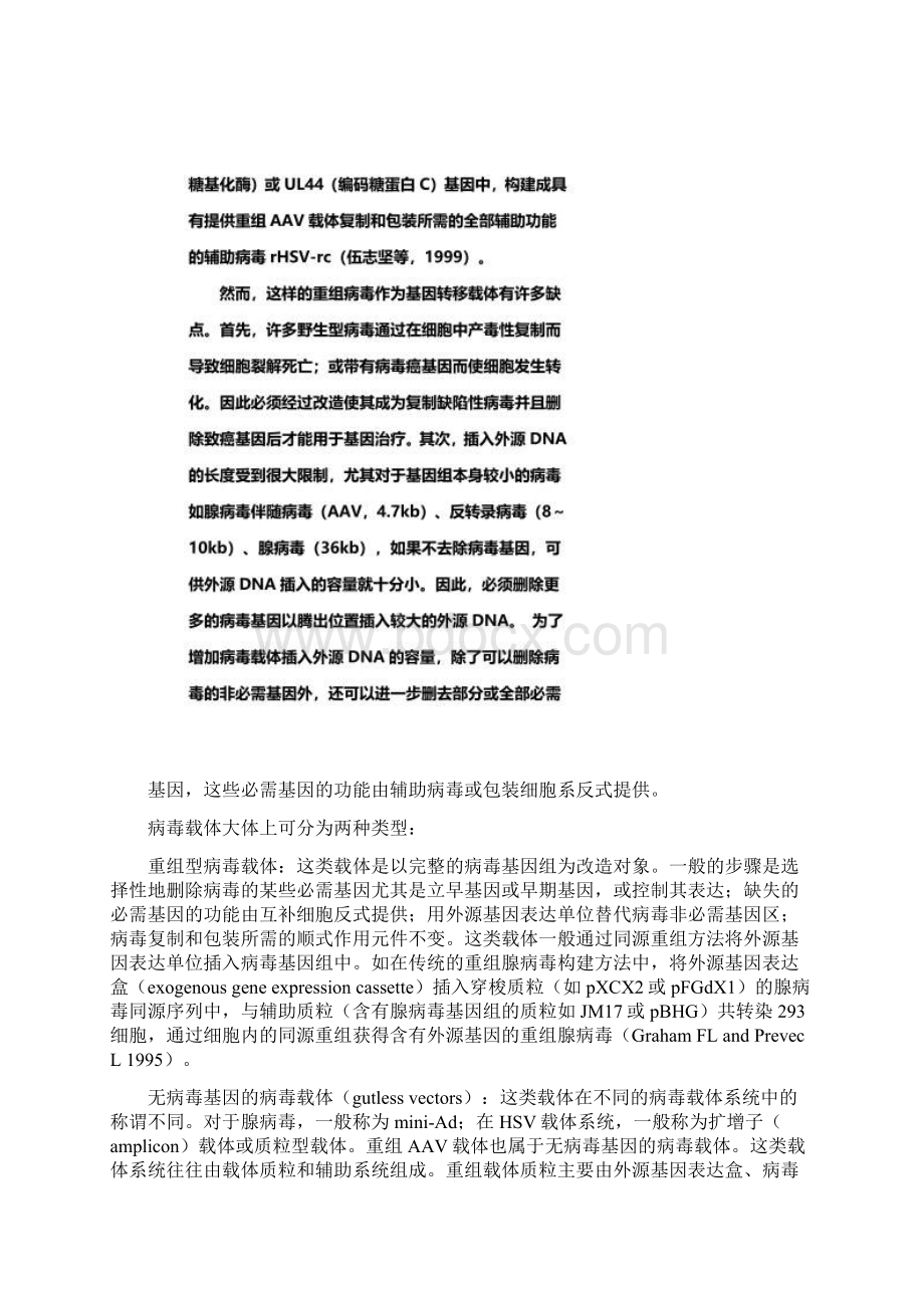 病毒载体概述Word文档格式.docx_第2页