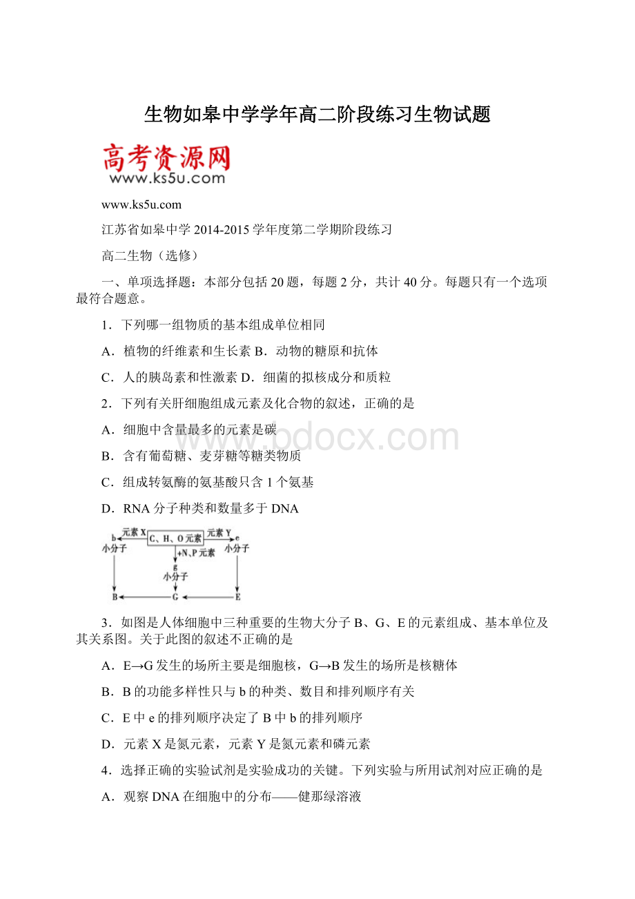 生物如皋中学学年高二阶段练习生物试题Word格式文档下载.docx