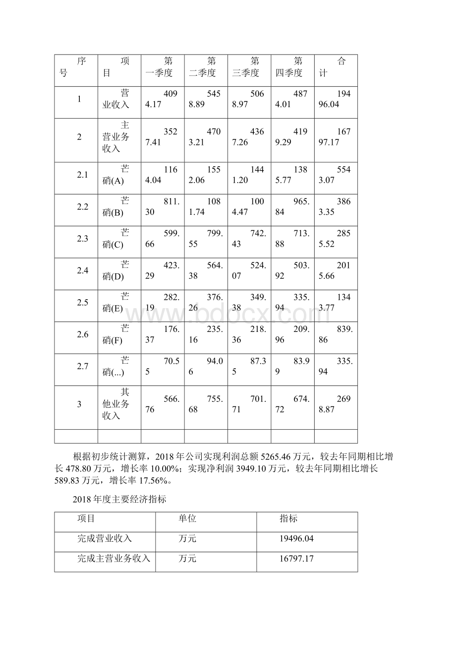 芒硝项目年终总结报告.docx_第3页