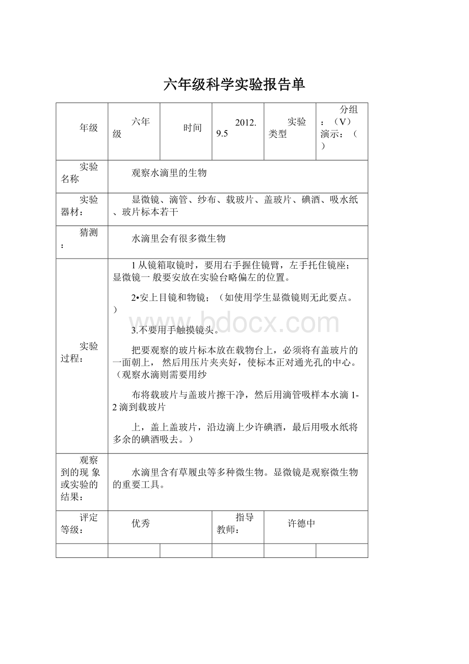 六年级科学实验报告单Word文档下载推荐.docx