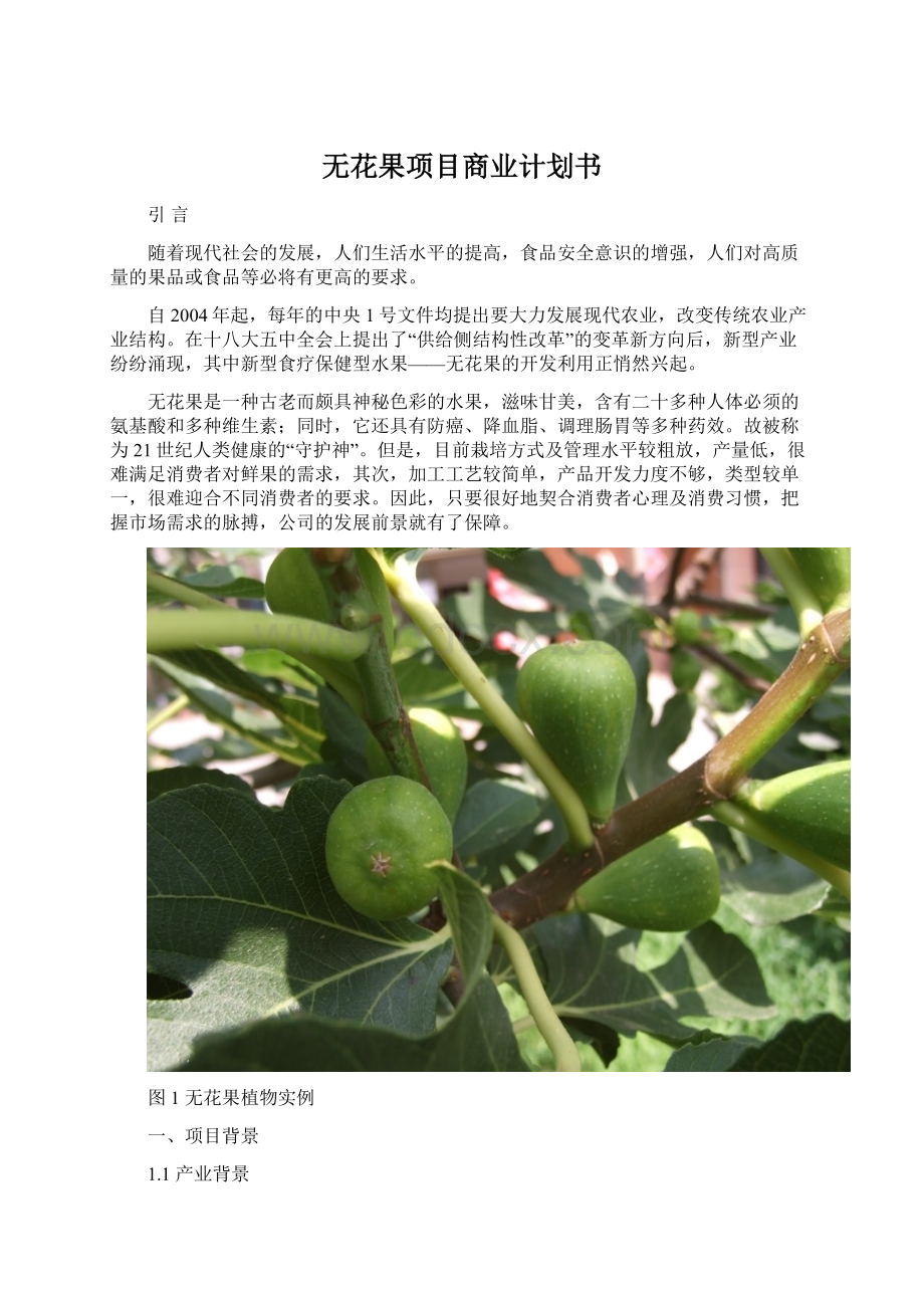 无花果项目商业计划书.docx