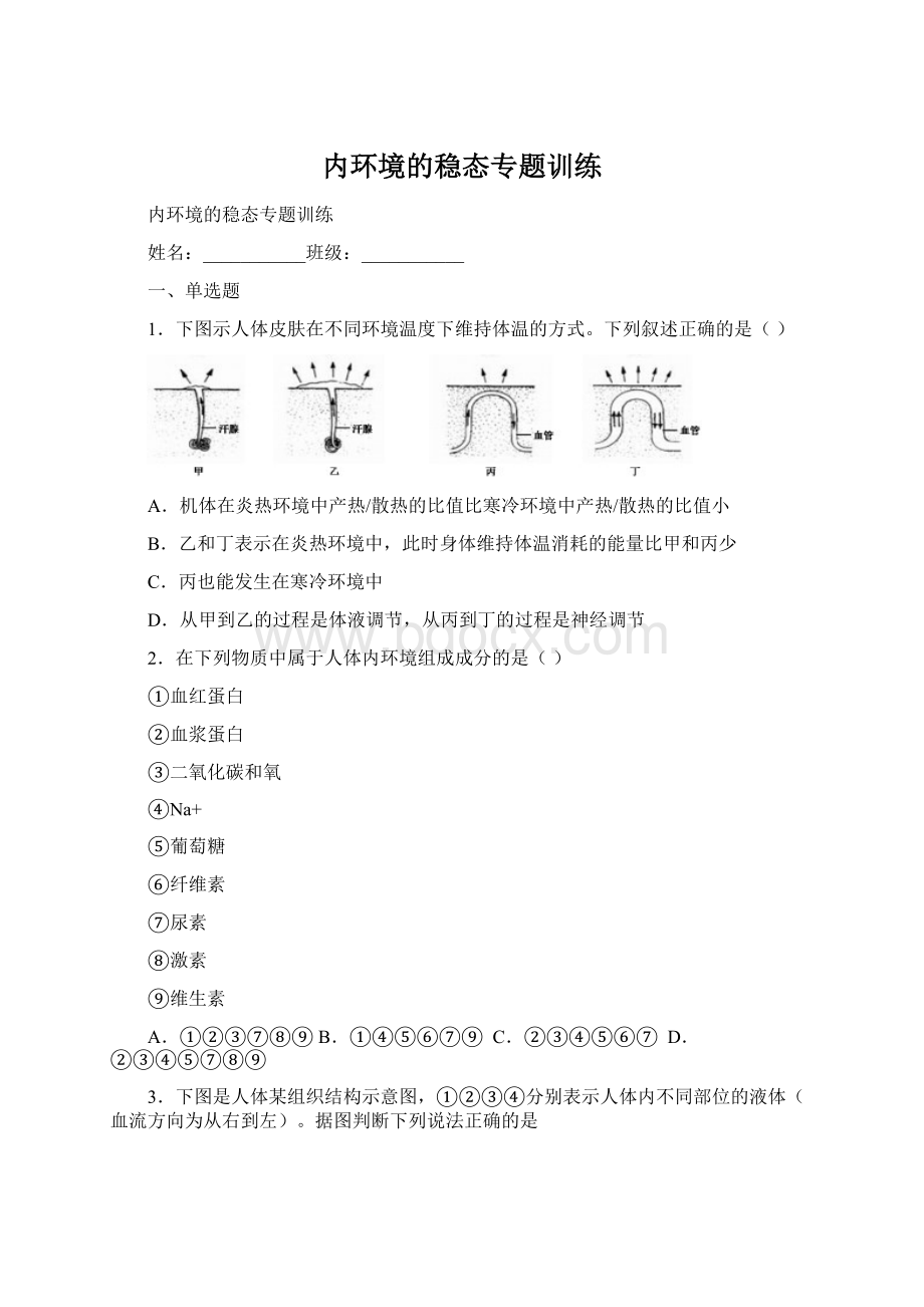 内环境的稳态专题训练文档格式.docx