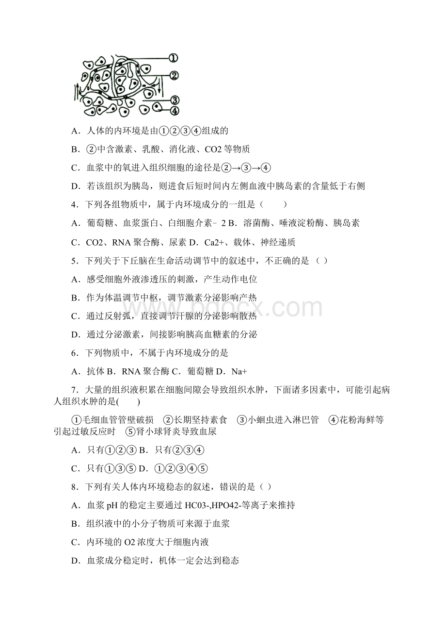 内环境的稳态专题训练文档格式.docx_第2页