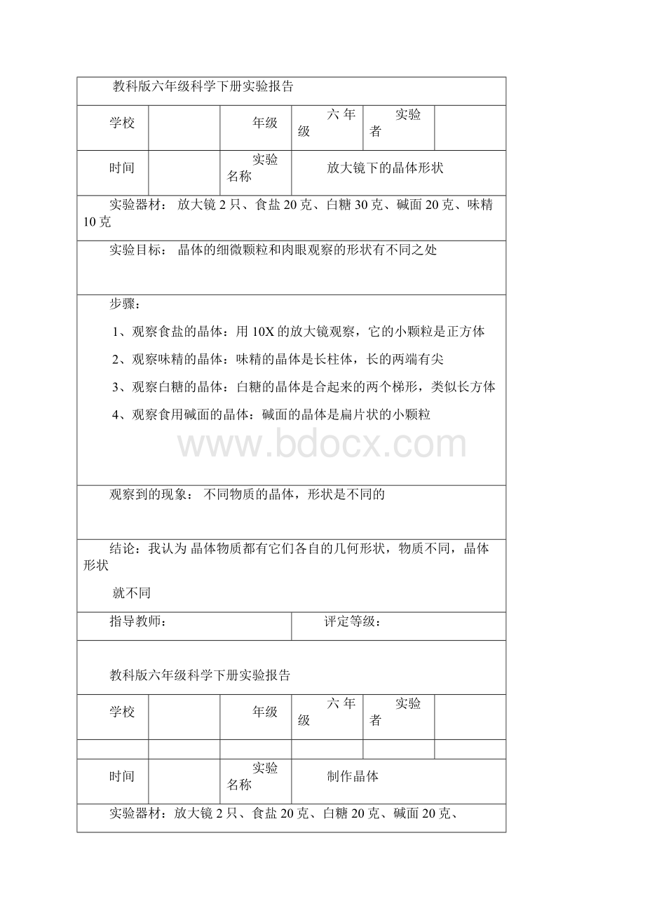 教科版六年级科学下册实验报告单全.docx_第2页