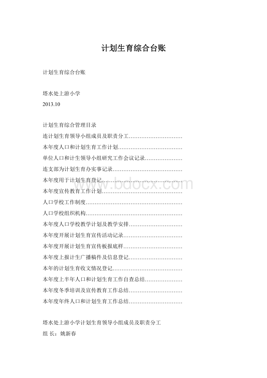 计划生育综合台账Word格式.docx_第1页