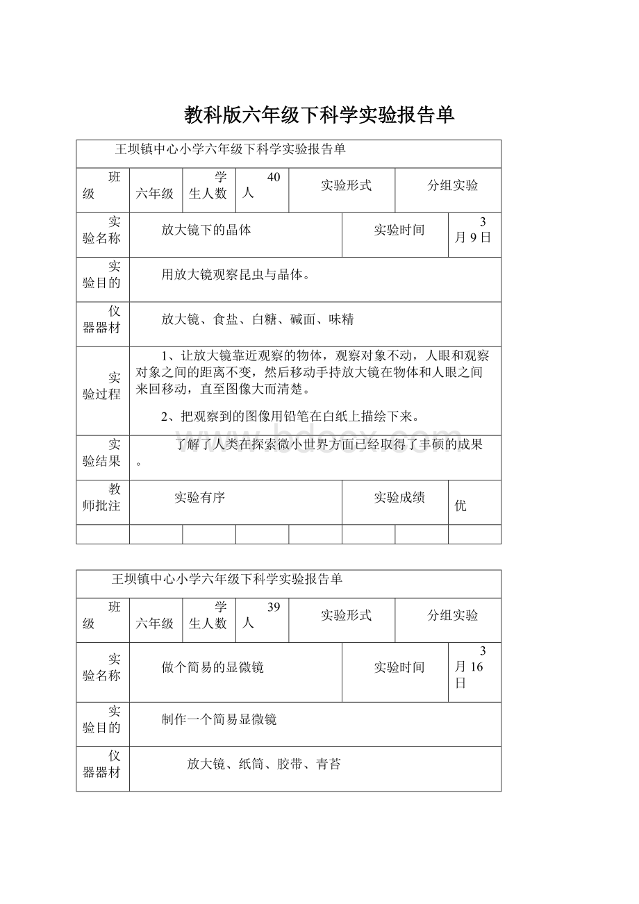 教科版六年级下科学实验报告单.docx