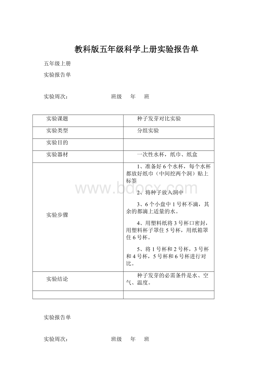 教科版五年级科学上册实验报告单.docx