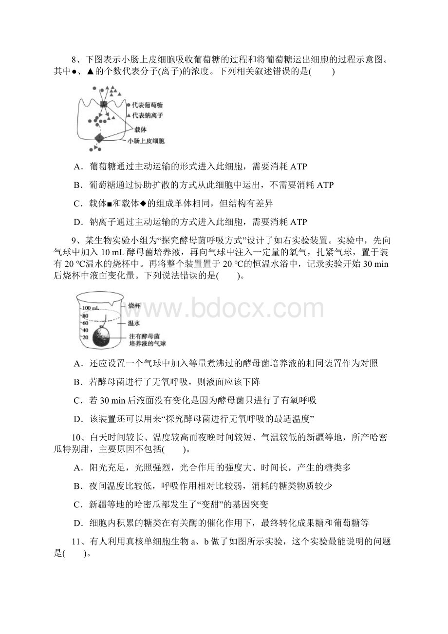 江西省上饶县中学届高三上学期第一次月考生物试题理零.docx_第3页