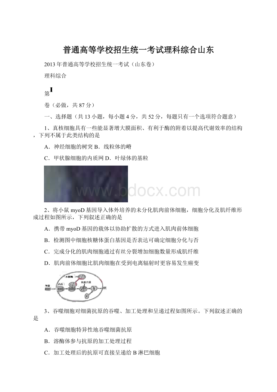 普通高等学校招生统一考试理科综合山东.docx_第1页