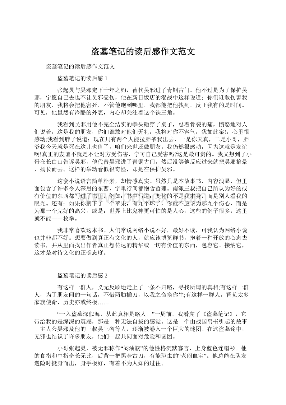 盗墓笔记的读后感作文范文Word文档格式.docx