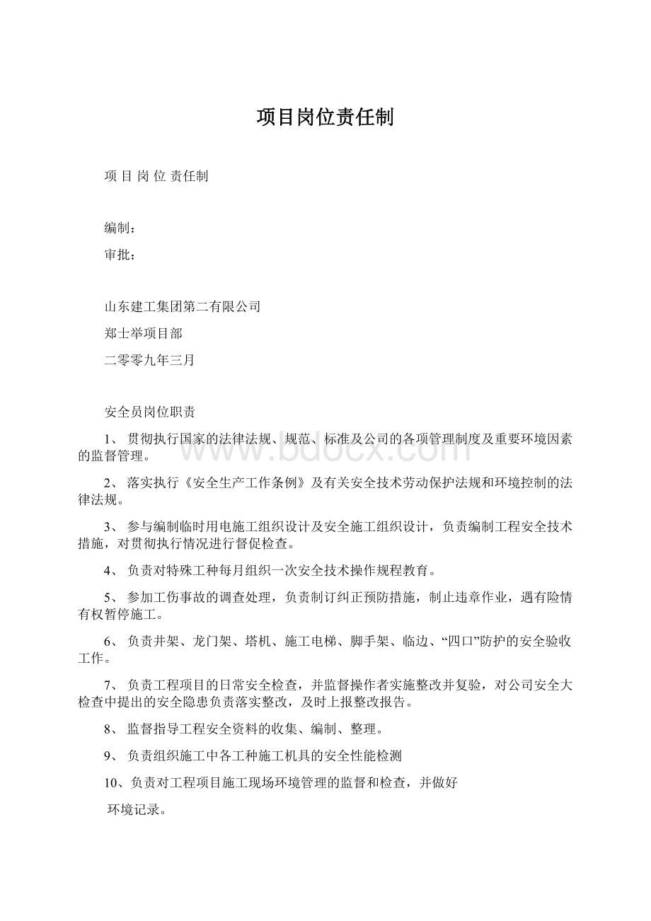 项目岗位责任制Word文档格式.docx