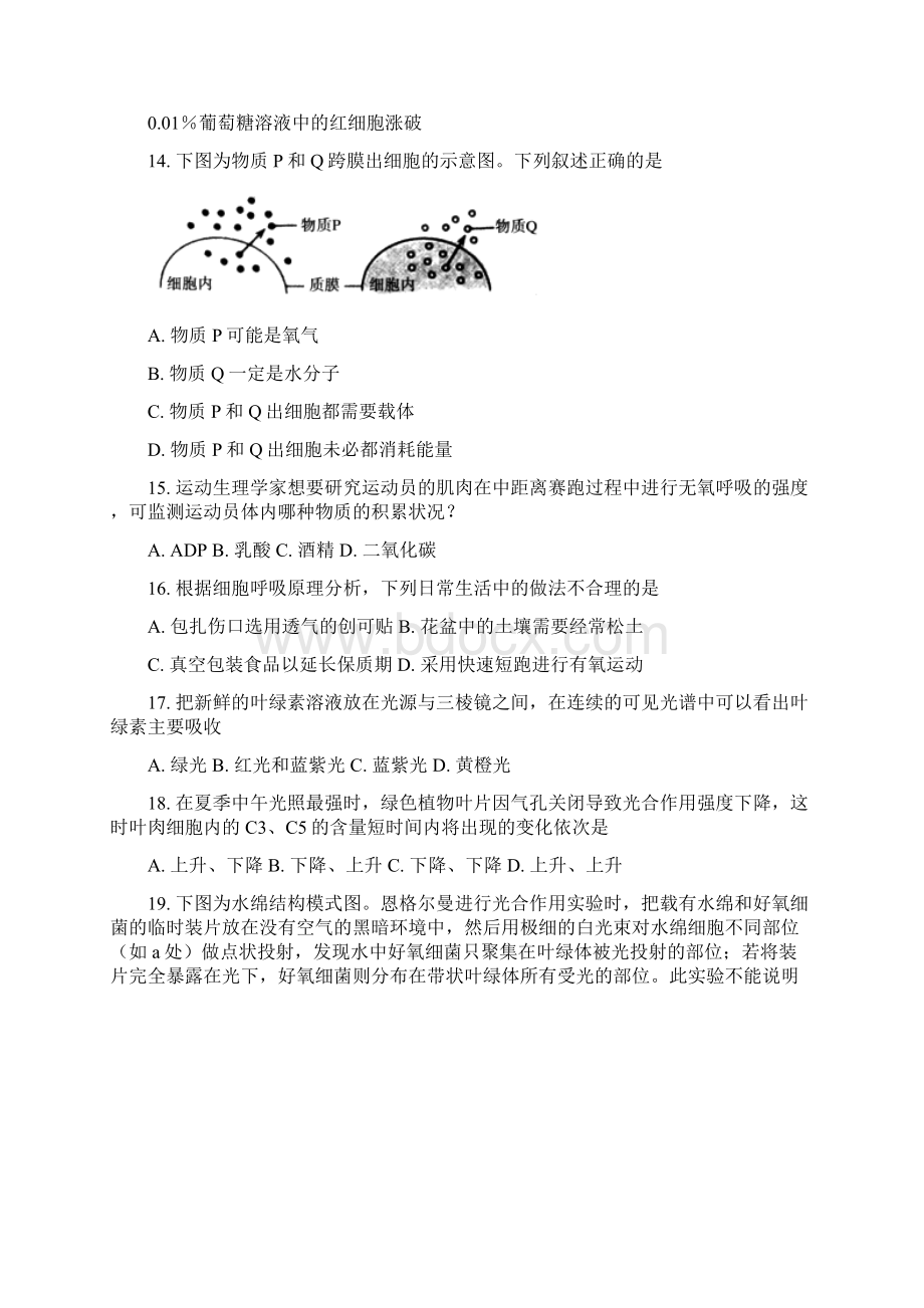 北京市东城区学年高一生物上学期期末考试试题附答案Word格式.docx_第3页