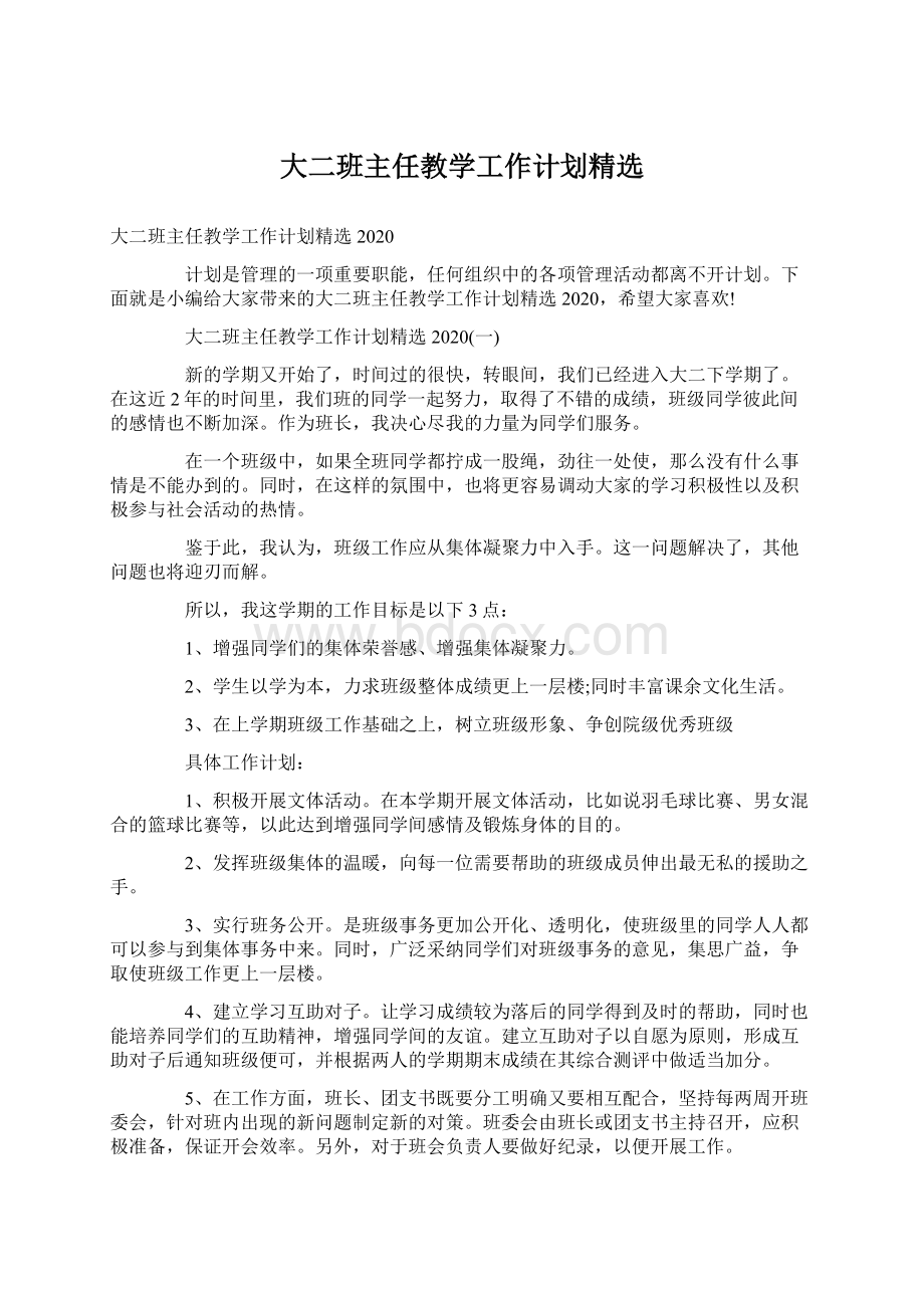 大二班主任教学工作计划精选.docx