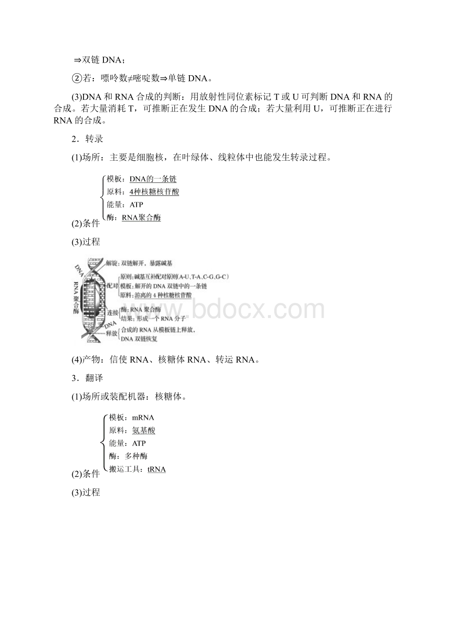 1819学年高考生物大一轮复习第六单元遗传的分子基础第19讲基因的表达学案180330348.docx_第2页