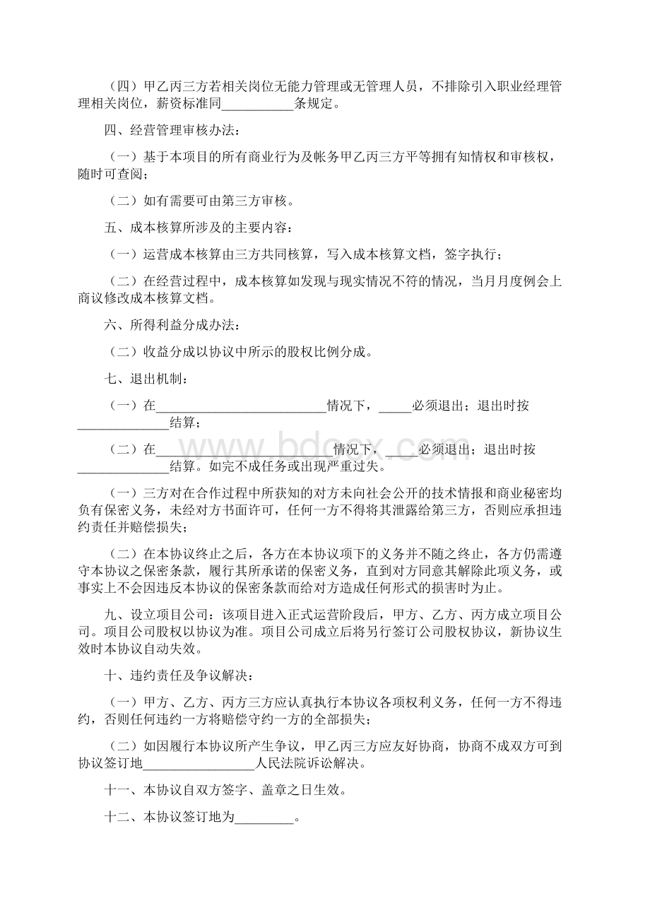 互联网项目合作协议书完整版Word下载.docx_第2页