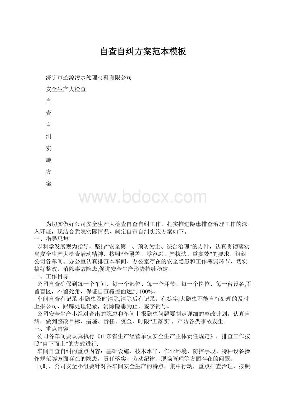 自查自纠方案范本模板Word格式文档下载.docx