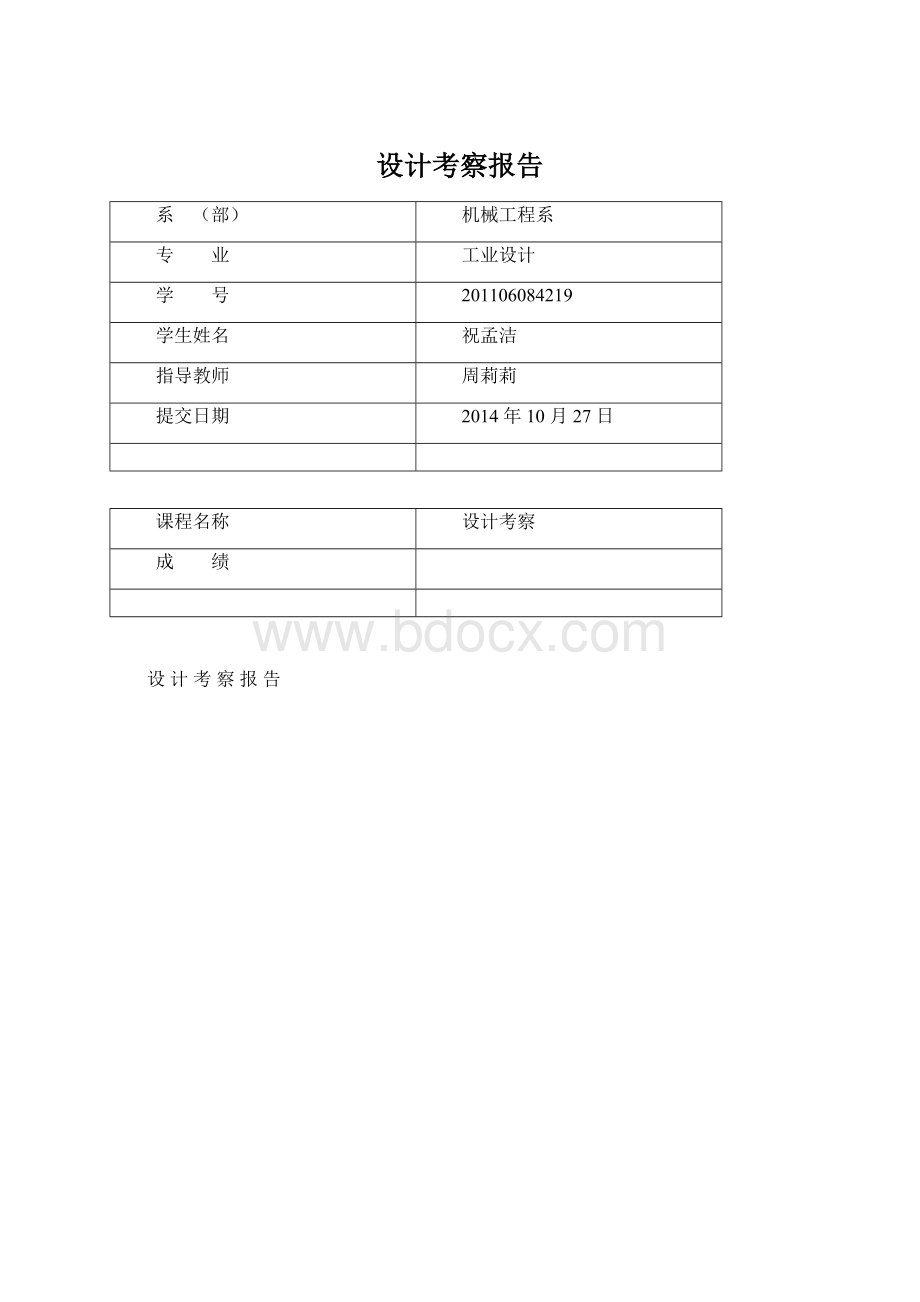 设计考察报告Word下载.docx