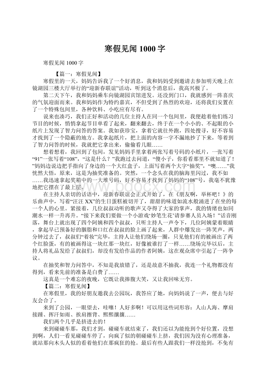 寒假见闻1000字Word格式.docx_第1页