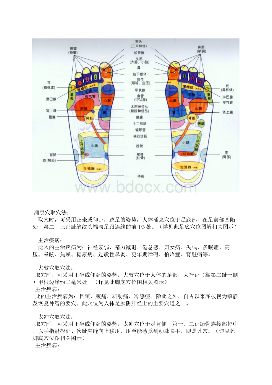 脚底经络.docx_第3页