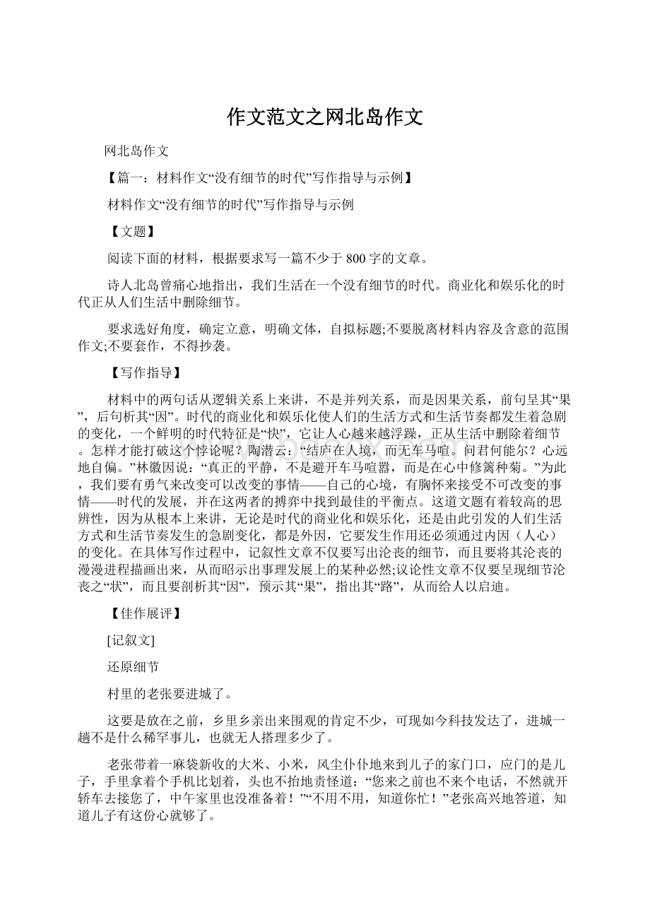 作文范文之网北岛作文Word格式文档下载.docx