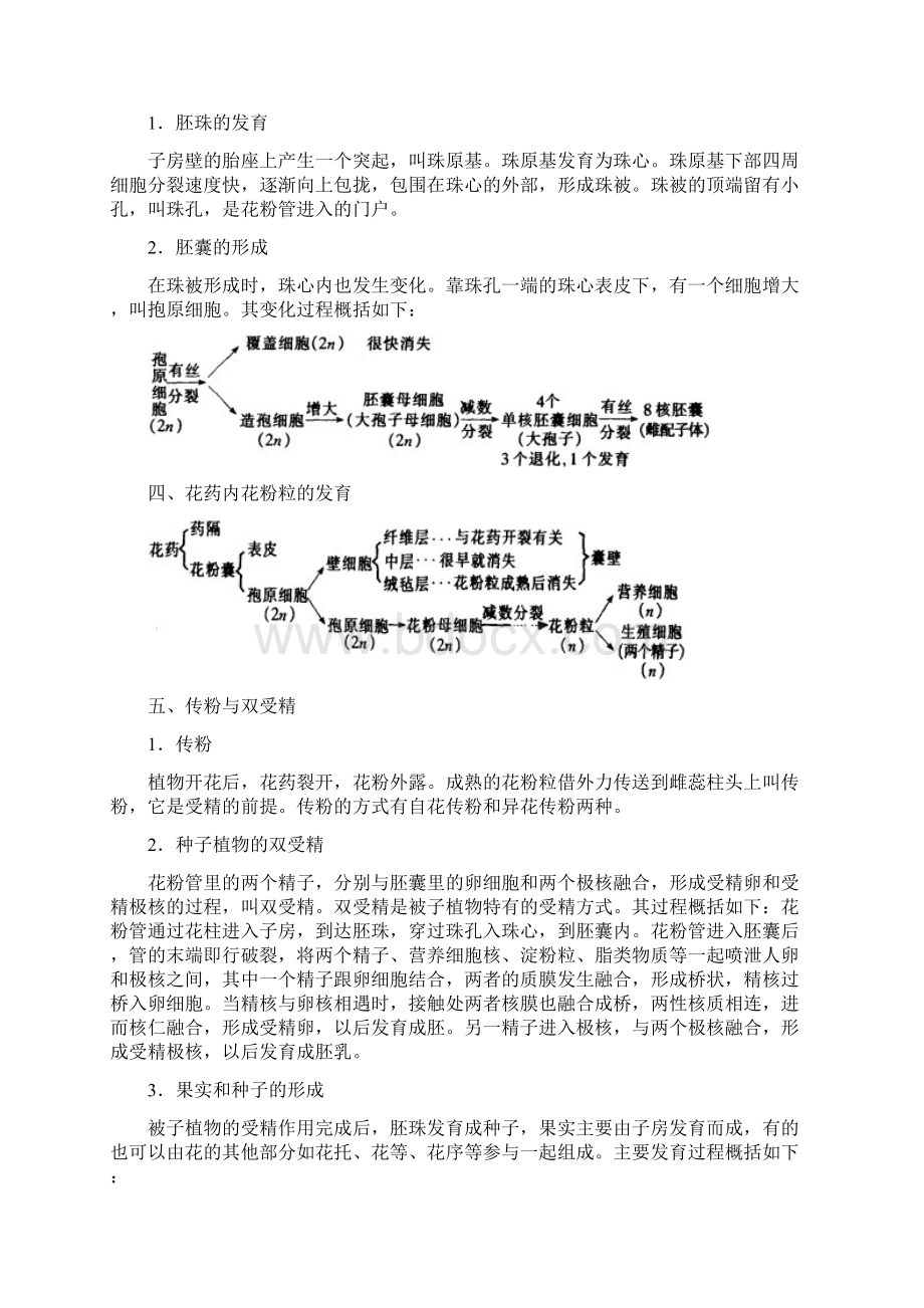 整理16生物的生殖和发育.docx_第2页