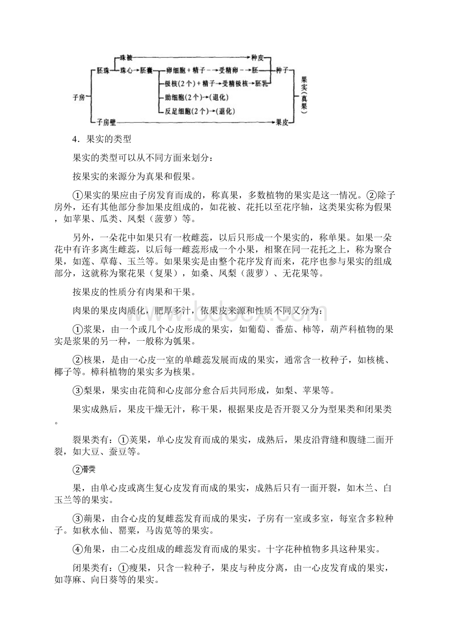 整理16生物的生殖和发育.docx_第3页