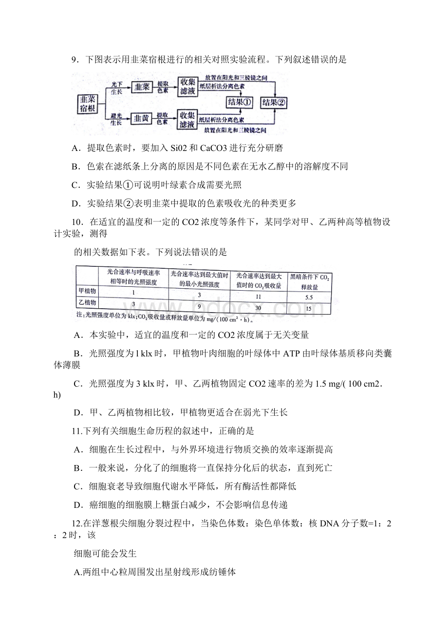 山东省临沂市届高三下学期教学质量检测一模生物试题Word.docx_第3页