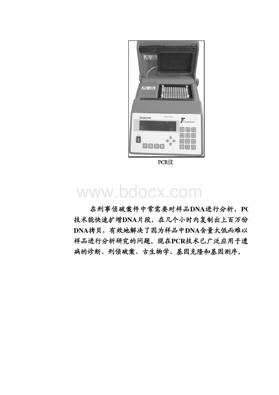 52多聚酶链式反应扩增DNA片段 课件人教版选修汇总.docx_第2页