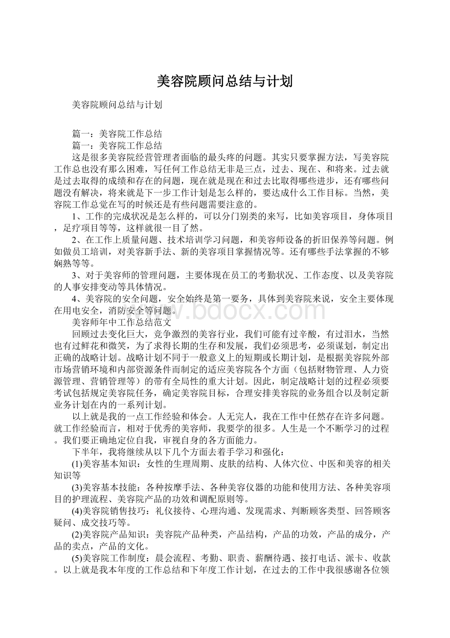 美容院顾问总结与计划文档格式.docx_第1页