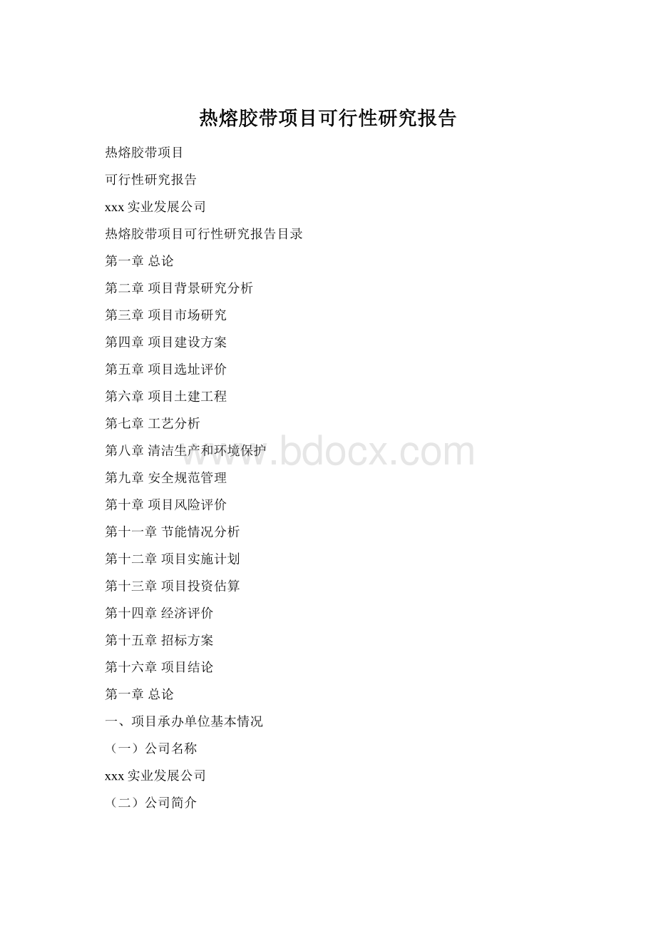 热熔胶带项目可行性研究报告.docx_第1页