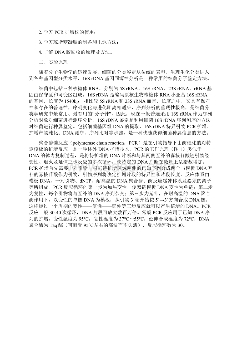 基因工程试验综合.docx_第3页