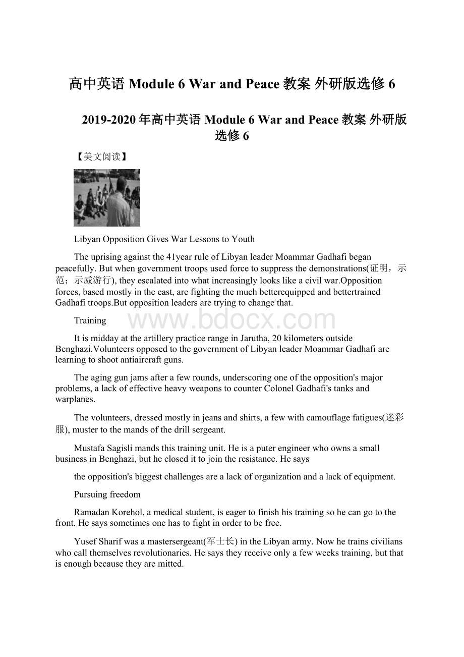 高中英语 Module 6 War and Peace教案 外研版选修6.docx