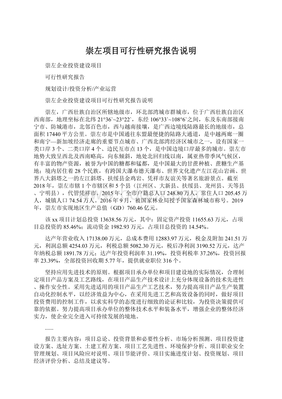 崇左项目可行性研究报告说明文档格式.docx