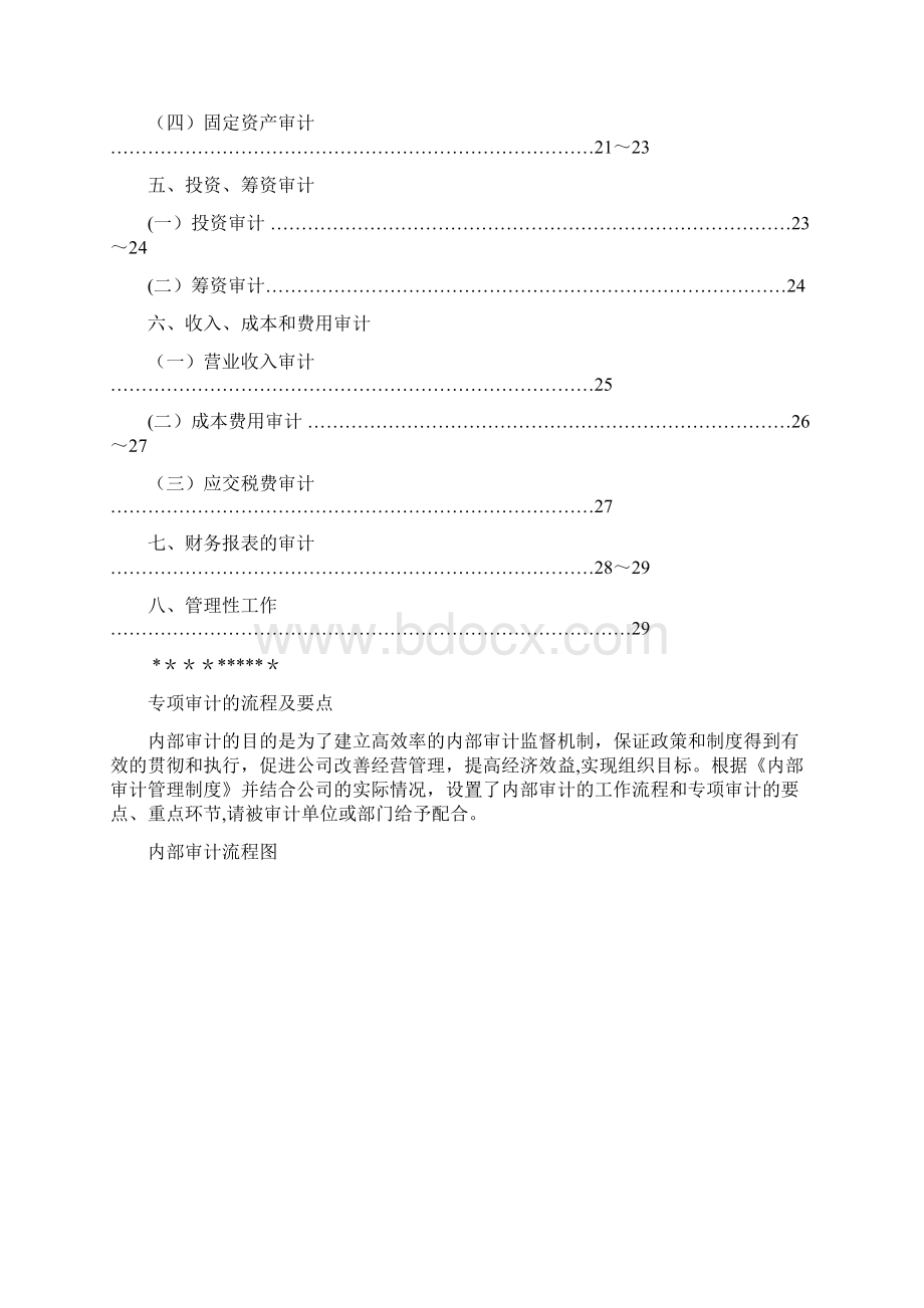 专项审计的流程及要点试行Word文档格式.docx_第2页