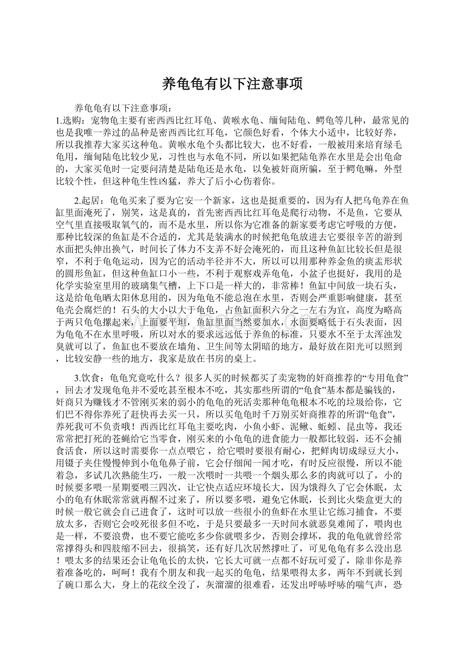 养龟龟有以下注意事项Word格式文档下载.docx