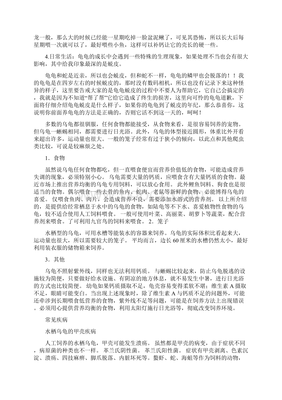 养龟龟有以下注意事项.docx_第2页