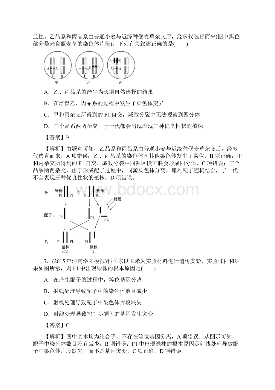 人教版 从杂交育种到基因工程单元测试 1.docx_第3页