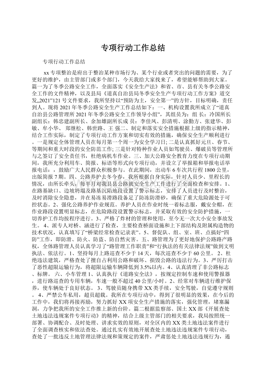 专项行动工作总结Word文档下载推荐.docx_第1页