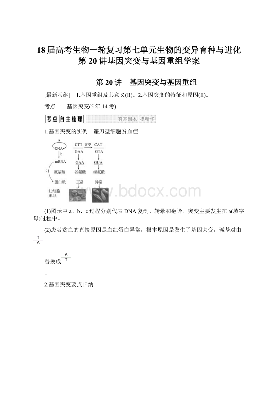 18届高考生物一轮复习第七单元生物的变异育种与进化第20讲基因突变与基因重组学案.docx_第1页