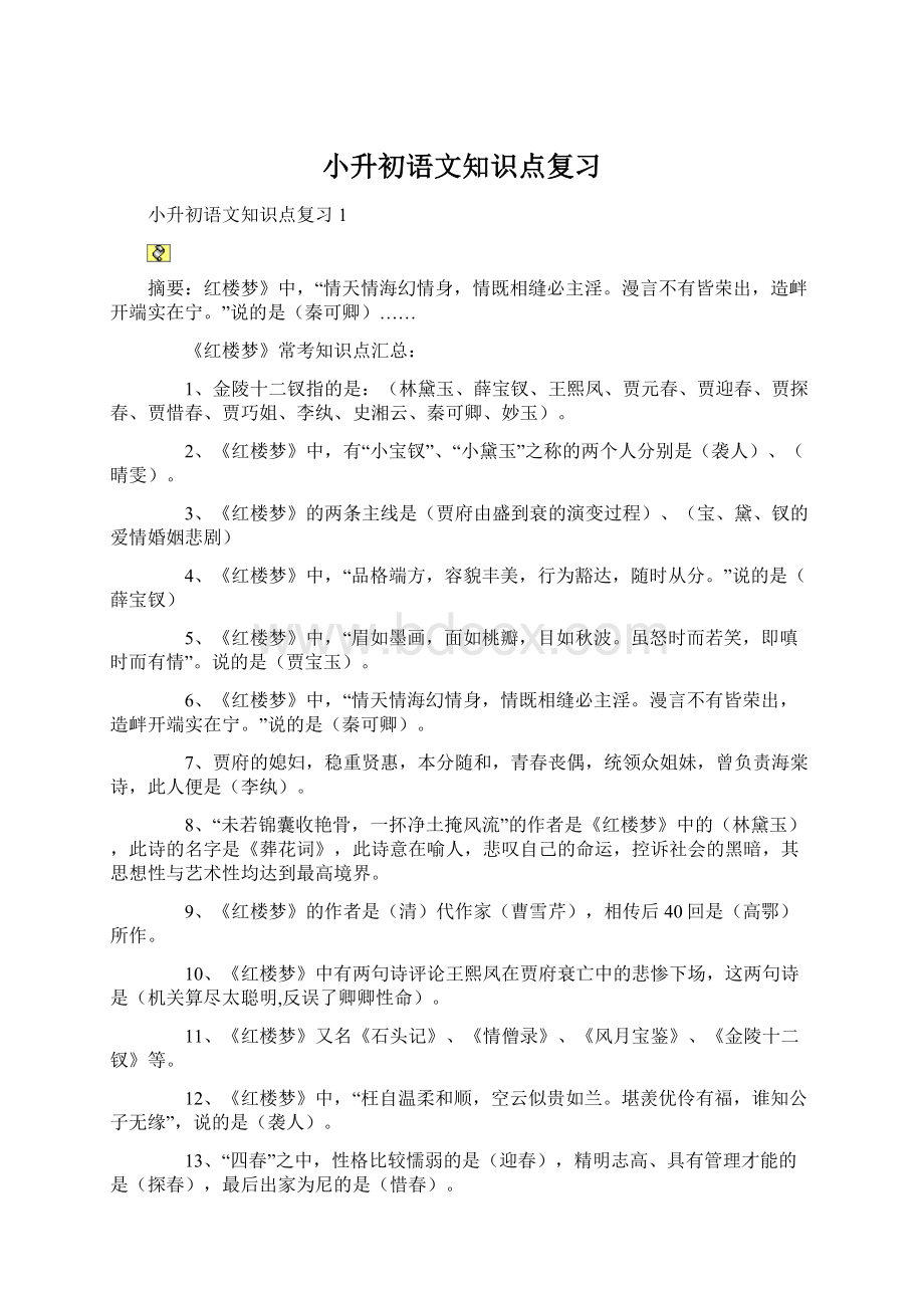 小升初语文知识点复习.docx_第1页