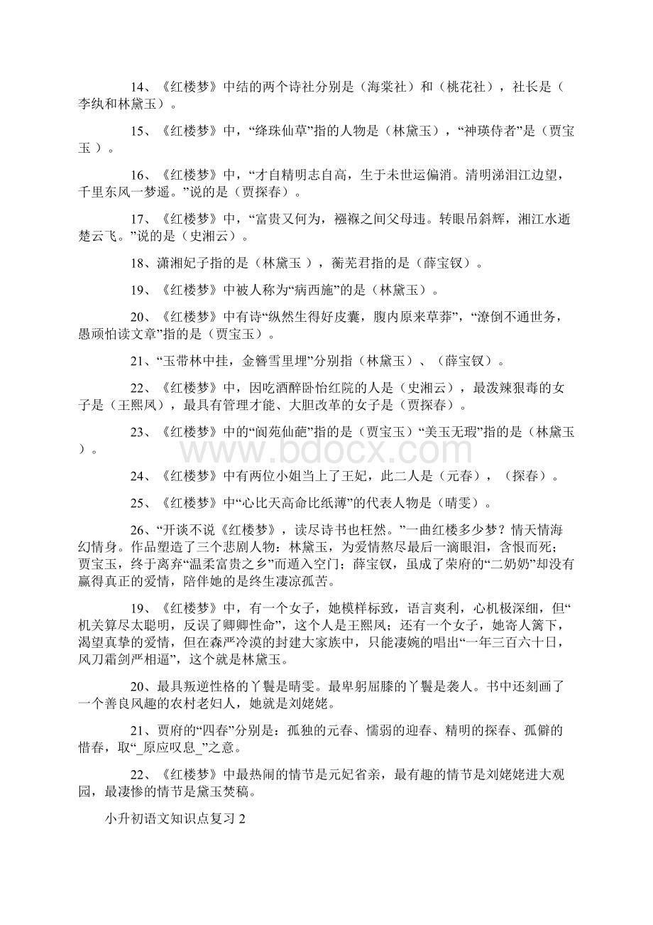 小升初语文知识点复习文档格式.docx_第2页