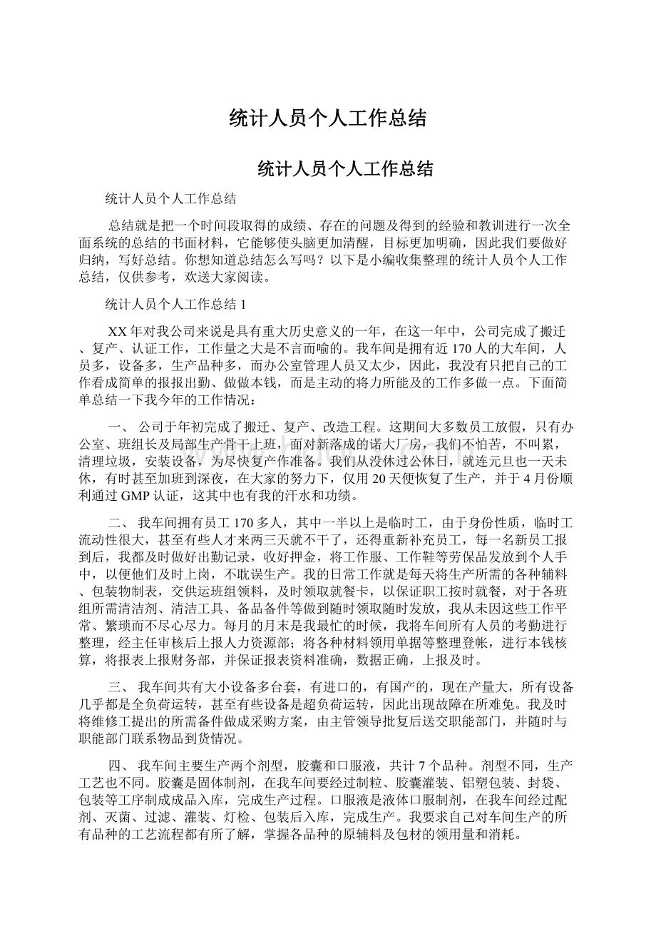 统计人员个人工作总结Word文档格式.docx