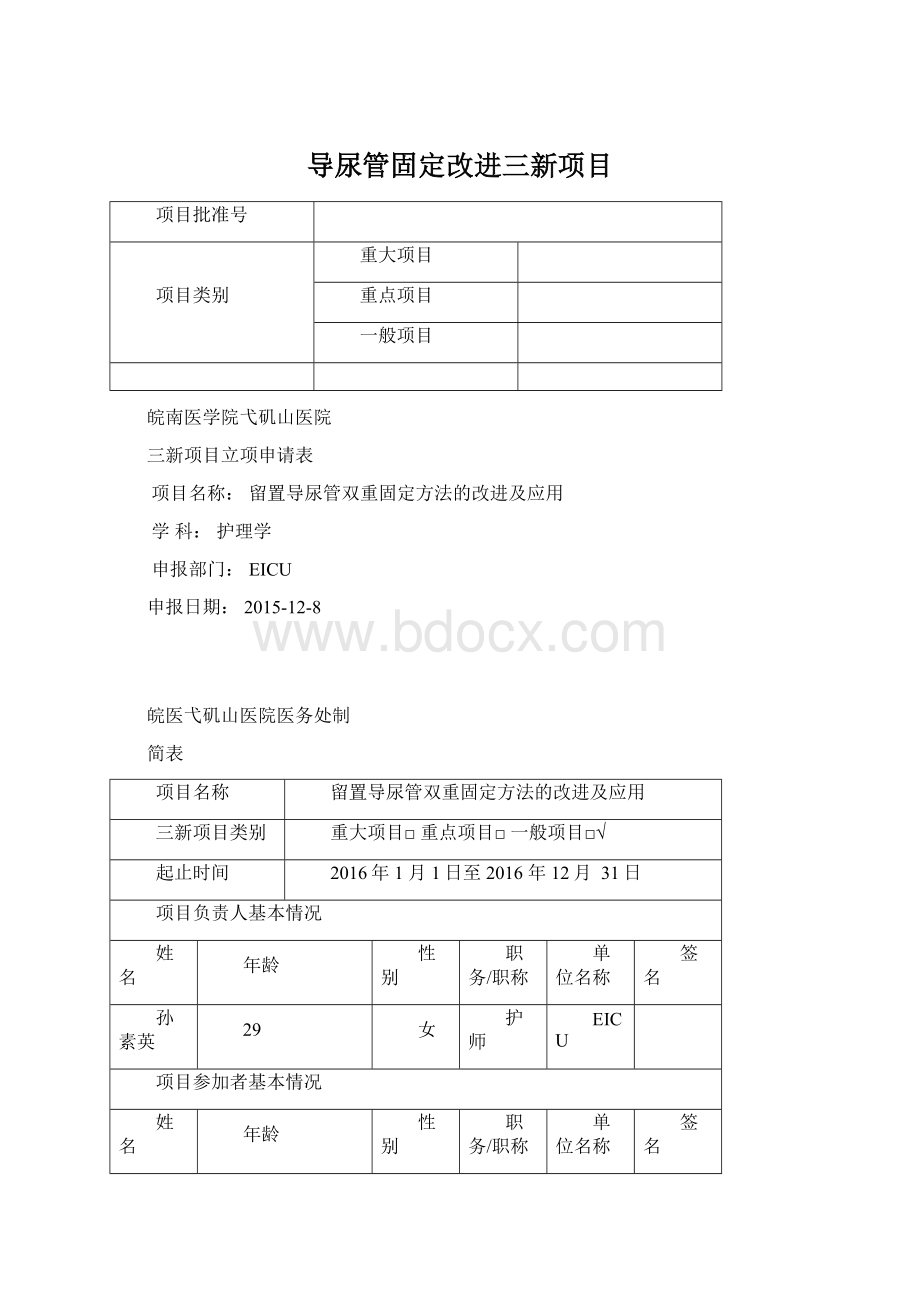 导尿管固定改进三新项目.docx_第1页